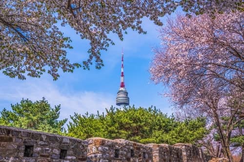 韓國賞櫻地點｜首爾及首爾近郊