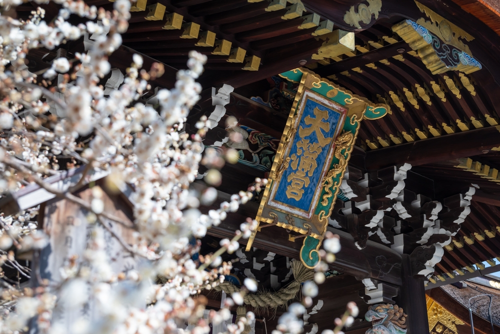 京都梅花｜北野天滿宮