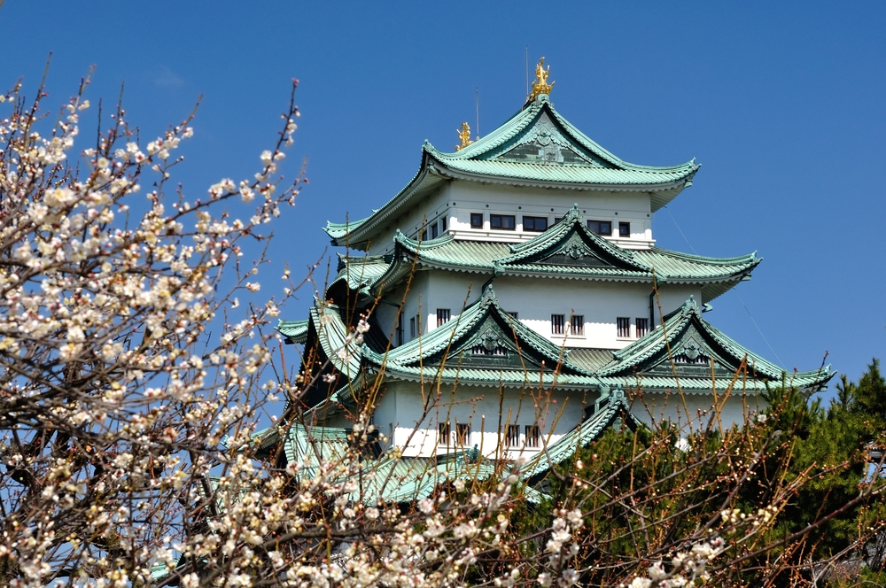 名古屋梅花｜名古屋城