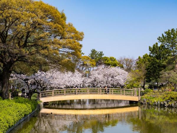 名古屋賞櫻｜6. 名城公園