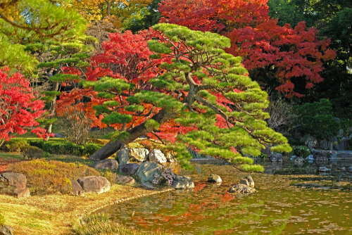 日本紅葉｜5. 皇居東御苑