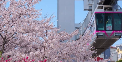 湘南單軌電車景點指南｜空中俯瞰鐮倉+江之島景點！天空步道攻略