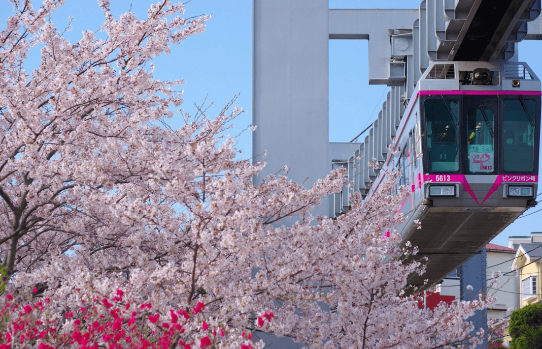 湘南單軌電車景點｜什麼是湘南單軌電車空中步道體驗？