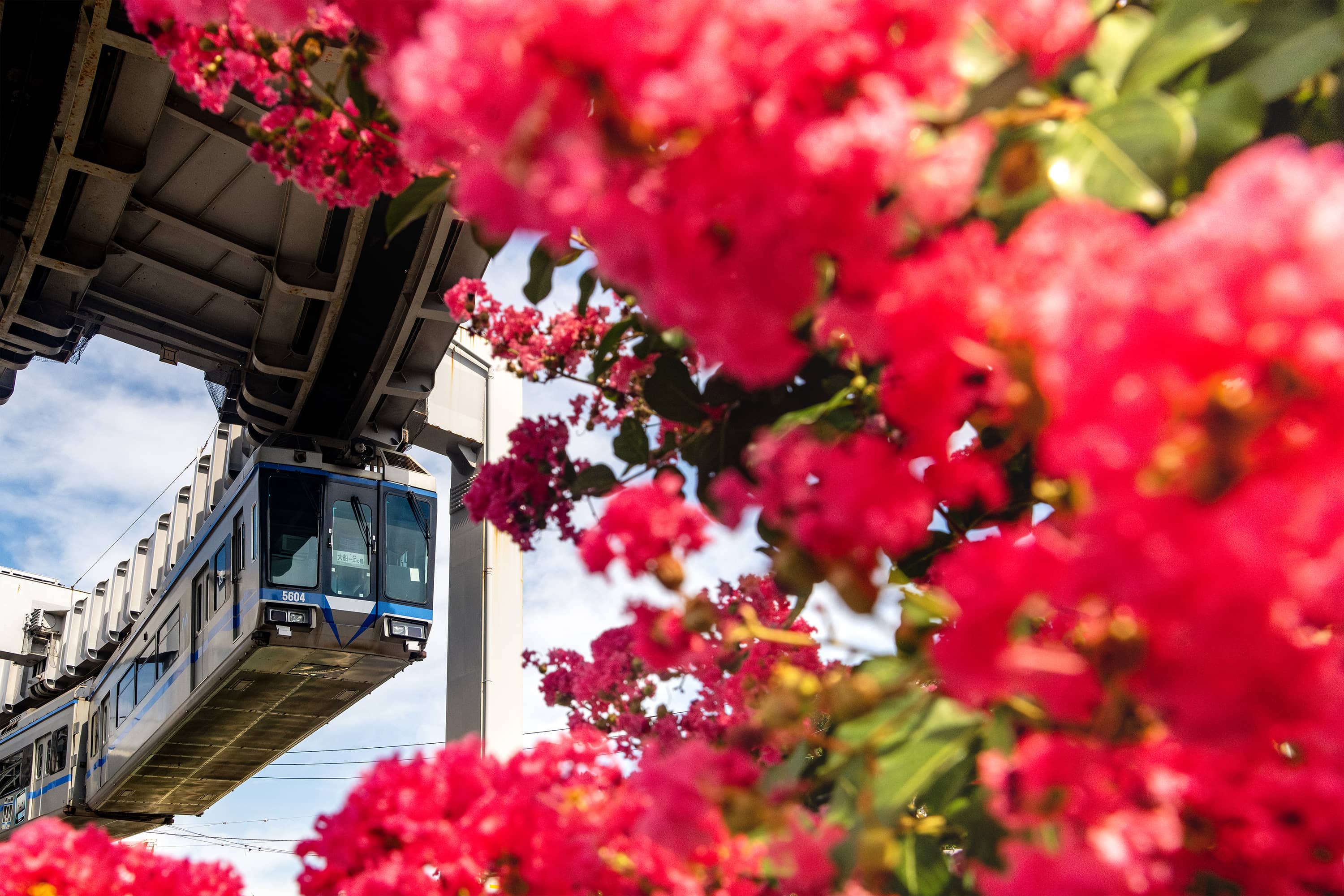 湘南單軌電車景點｜7. 目白山下站－江之島景點的空中預覽