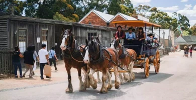 メルボルンの必見スポット:寒さをしのぐ!

独占的な旅行パッケージのお得な情報が待っています。