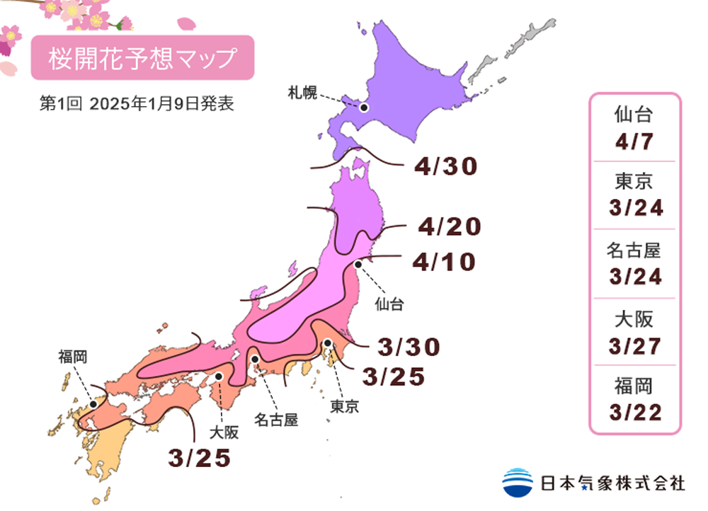 2025日本賞櫻｜開花預測