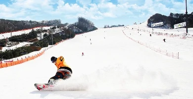 한국에서 가장 인기 있는 스키 리조트 - 서울 전용 출발 계약으로 꼭 가봐야 할 선택